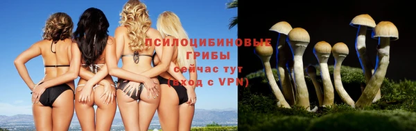 гидропоника Киренск