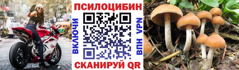Псилоцибиновые грибы Magic Shrooms  Купить  Тогучин 